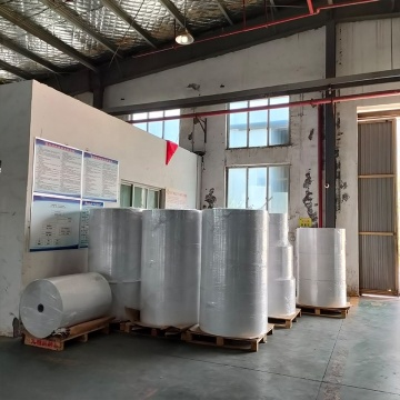 Self-Adhesive 70 Gsm Thermal Paper Jumbo Roll