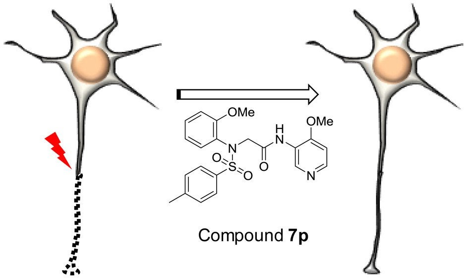 buy Compound 7p Powder