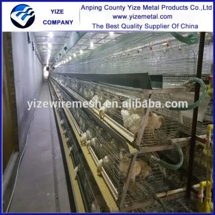 welded chicken cage wire mesh/chicken wire cage/wire mesh cage chicken layer for kenya farms