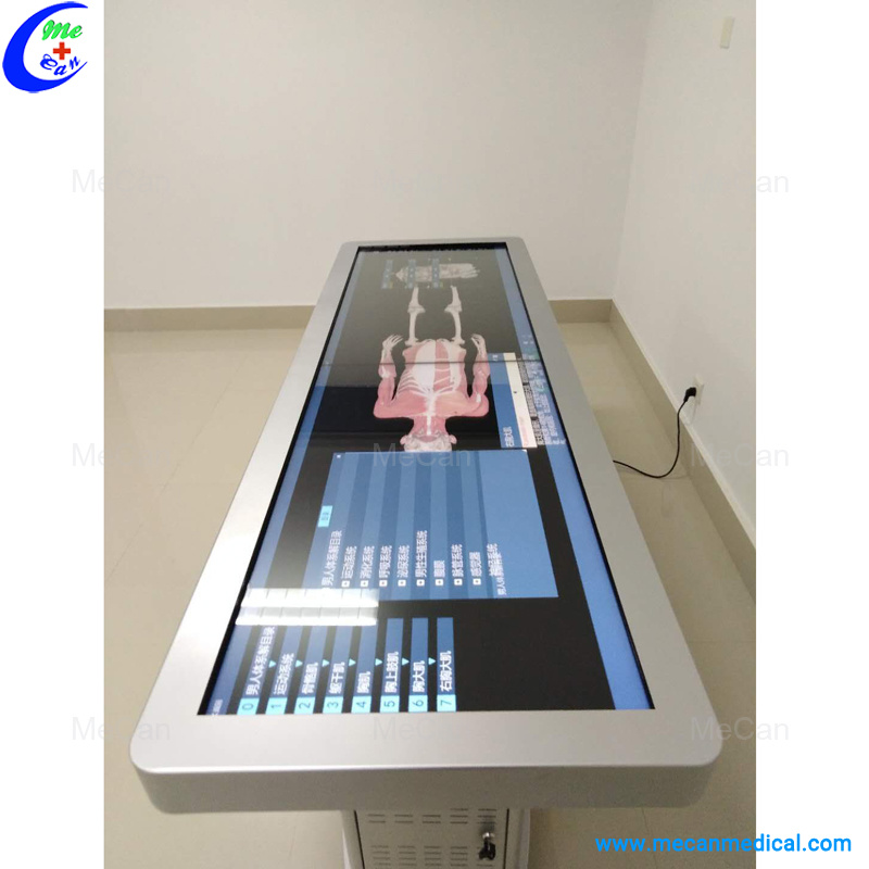 Medical-Human-Anatomy-Virtual-System (1)