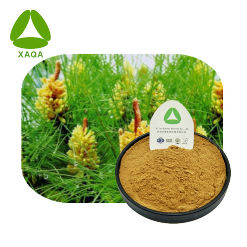 PINEN-Pollen-Unterbrechung Pulver Antiallergy-Material