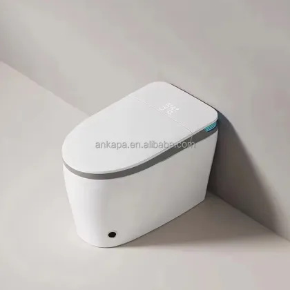 Modern Automatic Smart Toilet Sanitary Ware