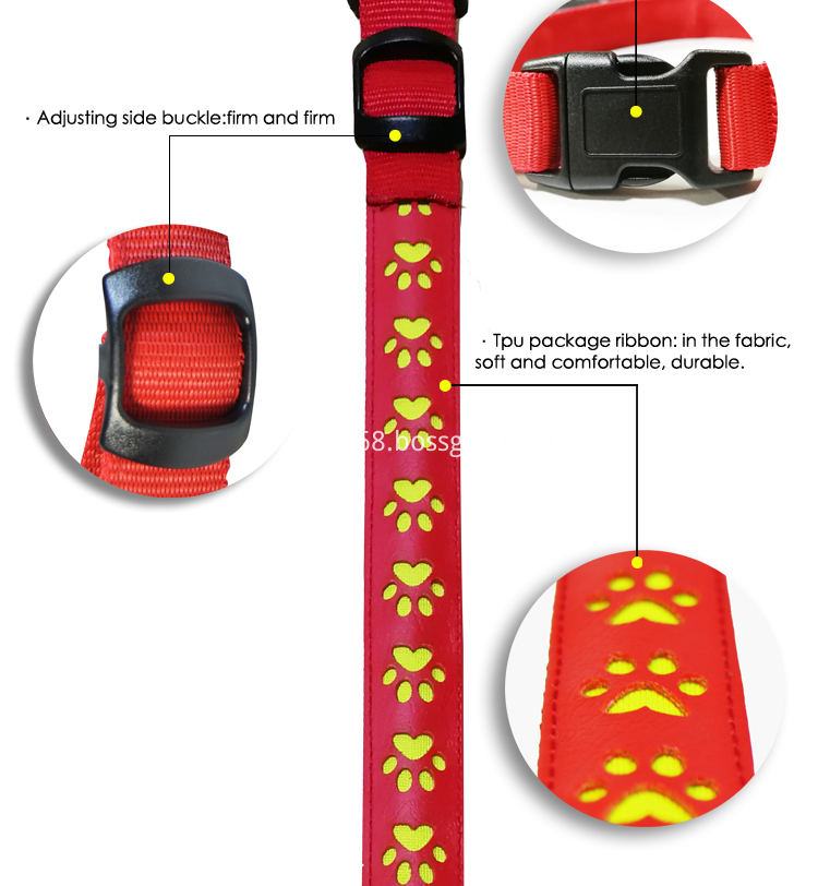 Night Safety Led Dog Collar