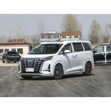豪华商务电气MPV Denza D9