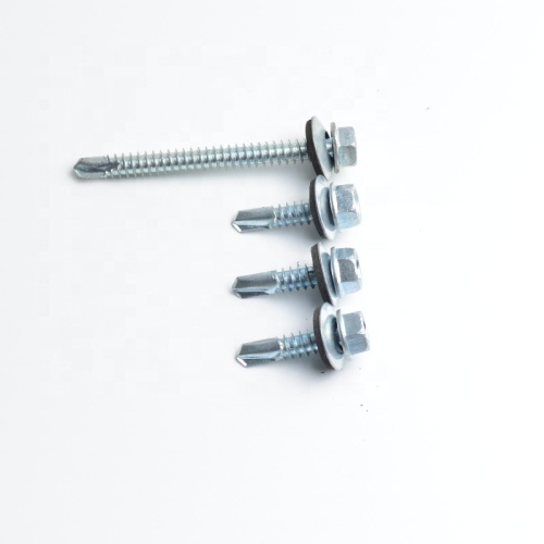 Stainless Steel Hex Washer Head