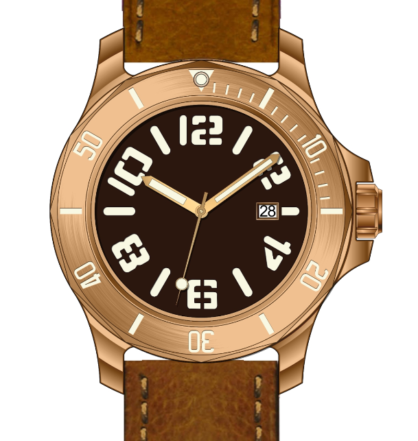 Bronze Case Watch