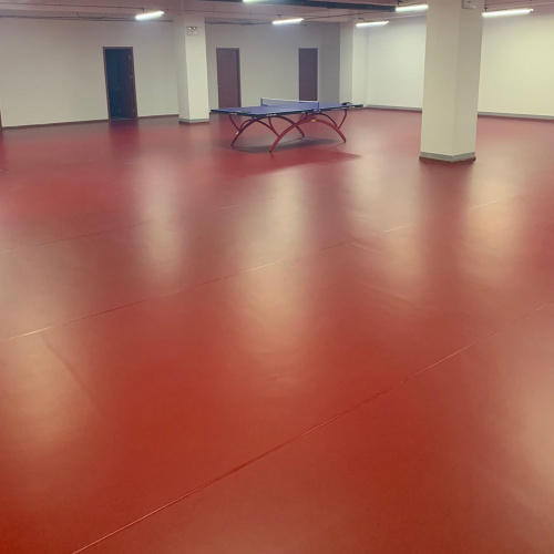 Binnen tafel tennisbaan mat vloer