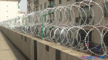 Hot Dipped Galvanized High Security Razor Wire Fencing (anjia-534)