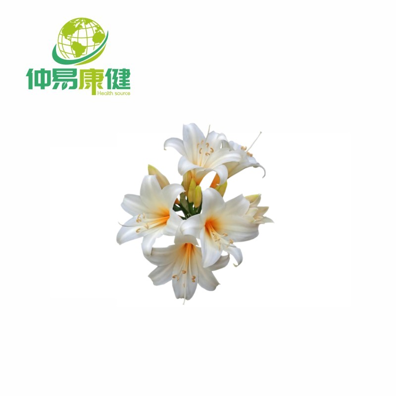 Lily Bulb Extract powder