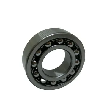 Double Row Self-Aligned Deep Groove Ball Bearing 1311