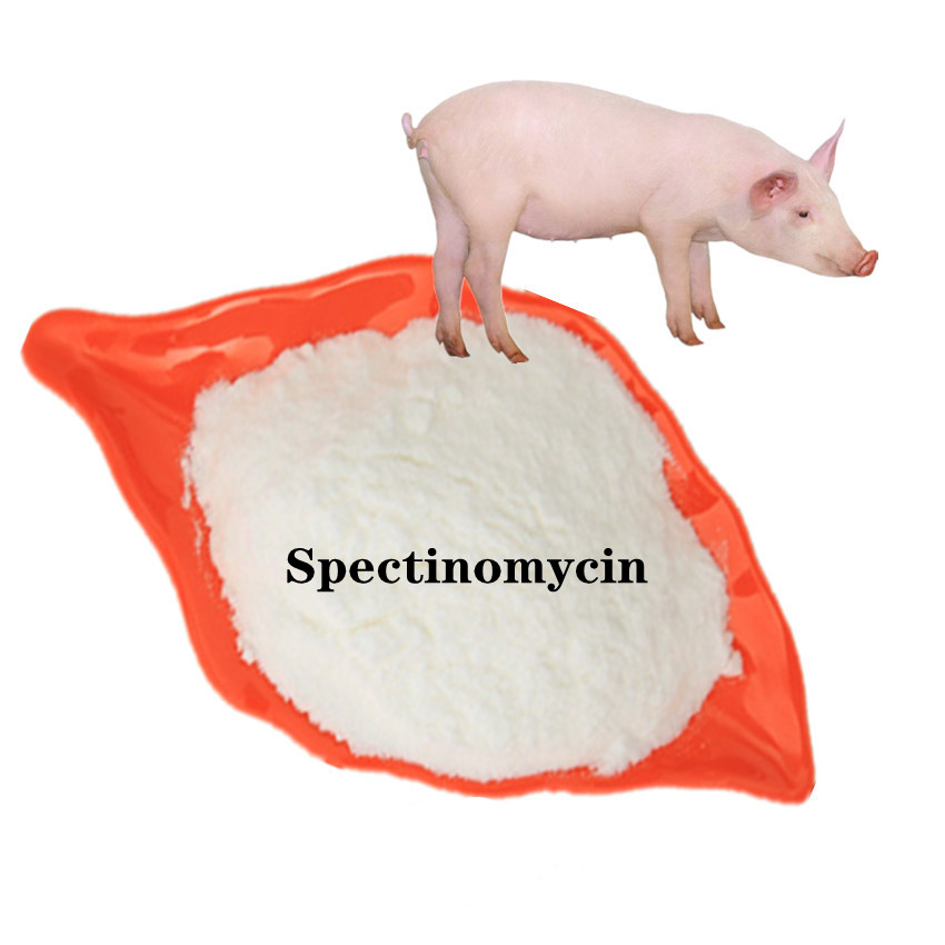 Spectinomycin powder