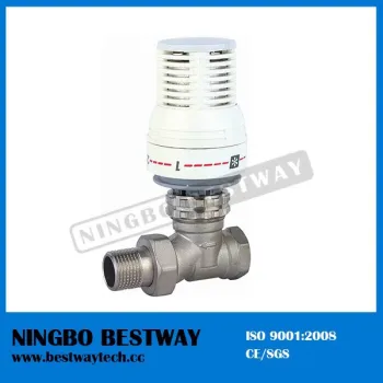 Economical Brass Themostatic Radiator Valve Stock