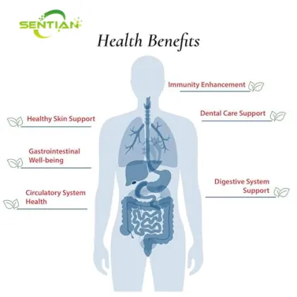 Probiotics Health Supplement Lactobacillus Reuteri