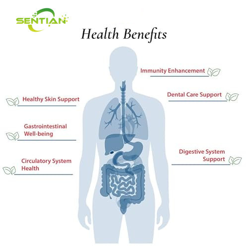 Probiotics Health Supplement Lactobacillus Reuteri