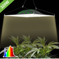ไฟปลูก LED สำหรับพืชในร่ม
