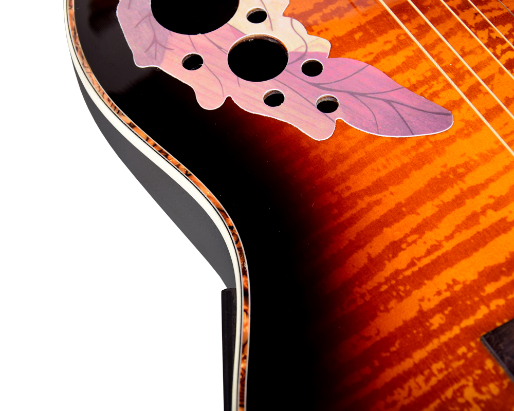 Ts Jb41 Semi Acoustic Guitar