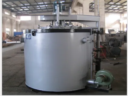 Well type multi-purpose furnace