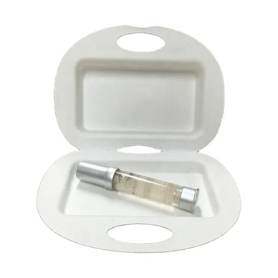 Compostable pulp biodegradable packaging box with handle