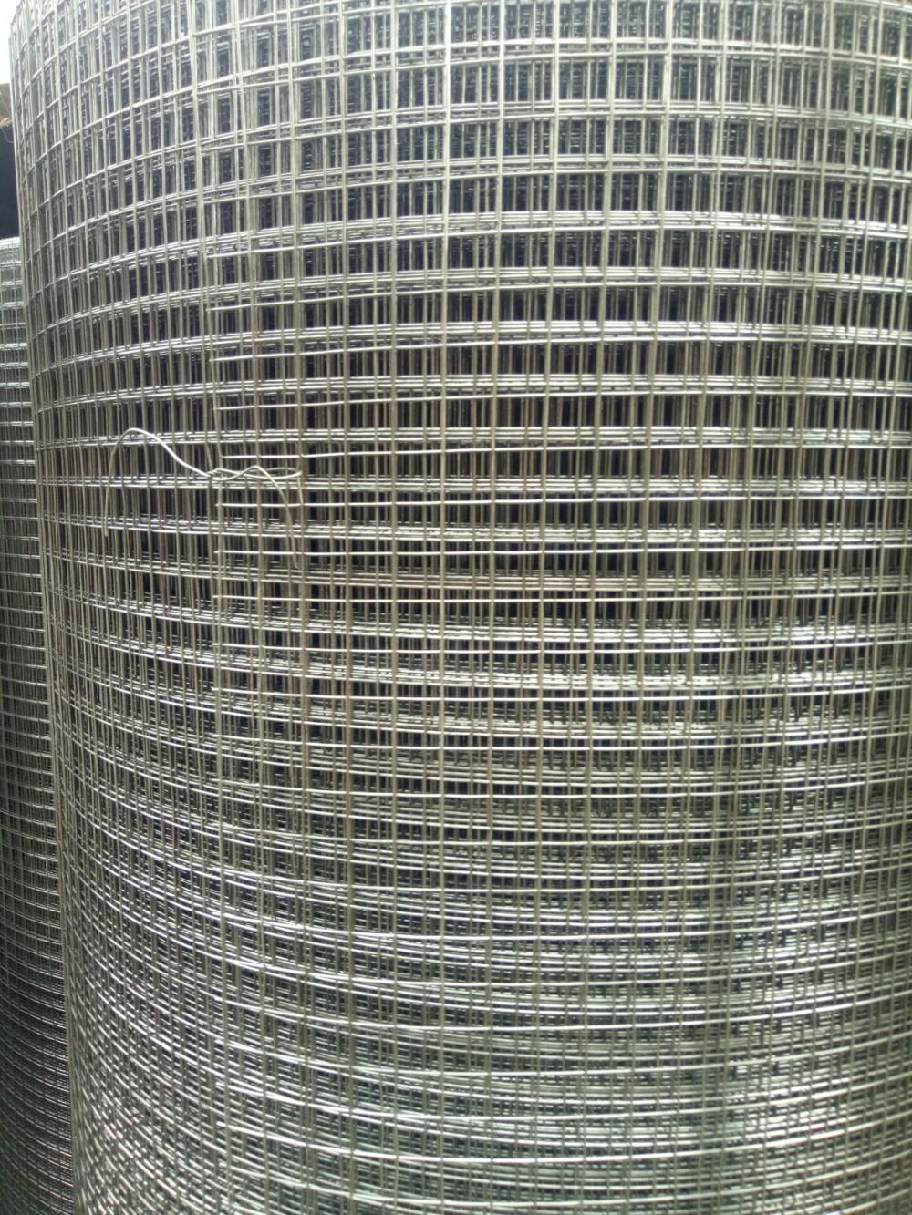 En acier inoxydable soudé Wire Mesh Rolls