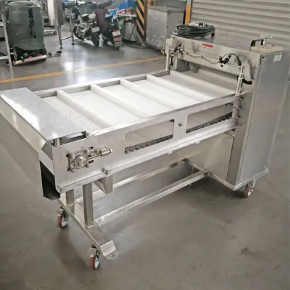 Commercial Fish Cutting Machine: Tuna, Pomfret, Crucian Carp, Tilapia, and Hairtail Section Cutter