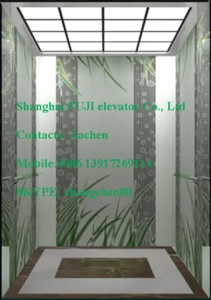 Shanghai FUJI Hairline steel stainless passenger elevator