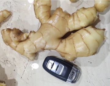 2019 year fresh ginger