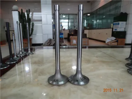 NISSAN Auto Engine Valve Part