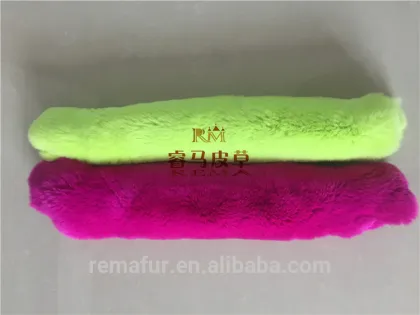 hot selling rex rabbit