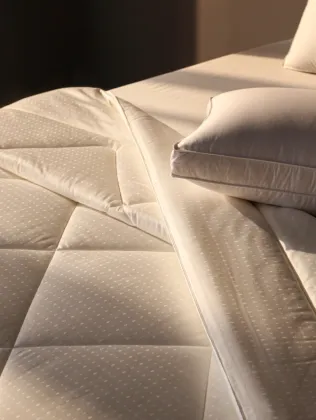 Hotel Antibacterial Feather Silk Quilt