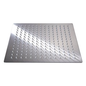 12 인치 소나기 머리