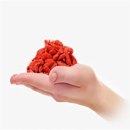 New Crop Conventional Goji Berry