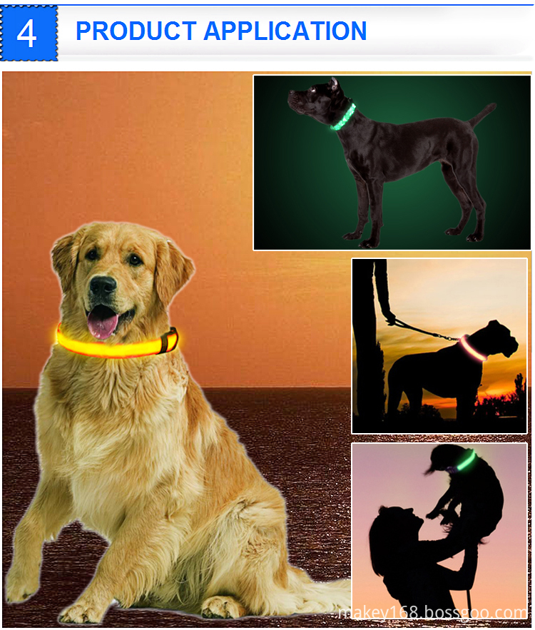 Usb Led Dog Collar
