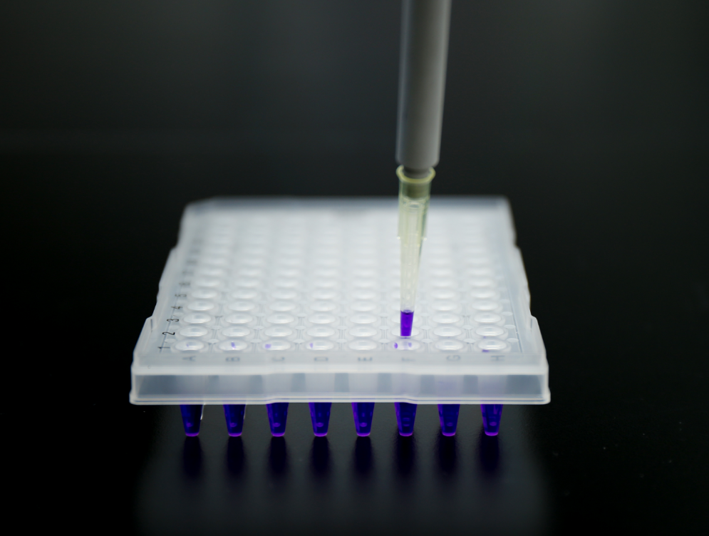 PCR Plates­­­­­­­­­­­­­­­­­­­­­­­­­­­­­