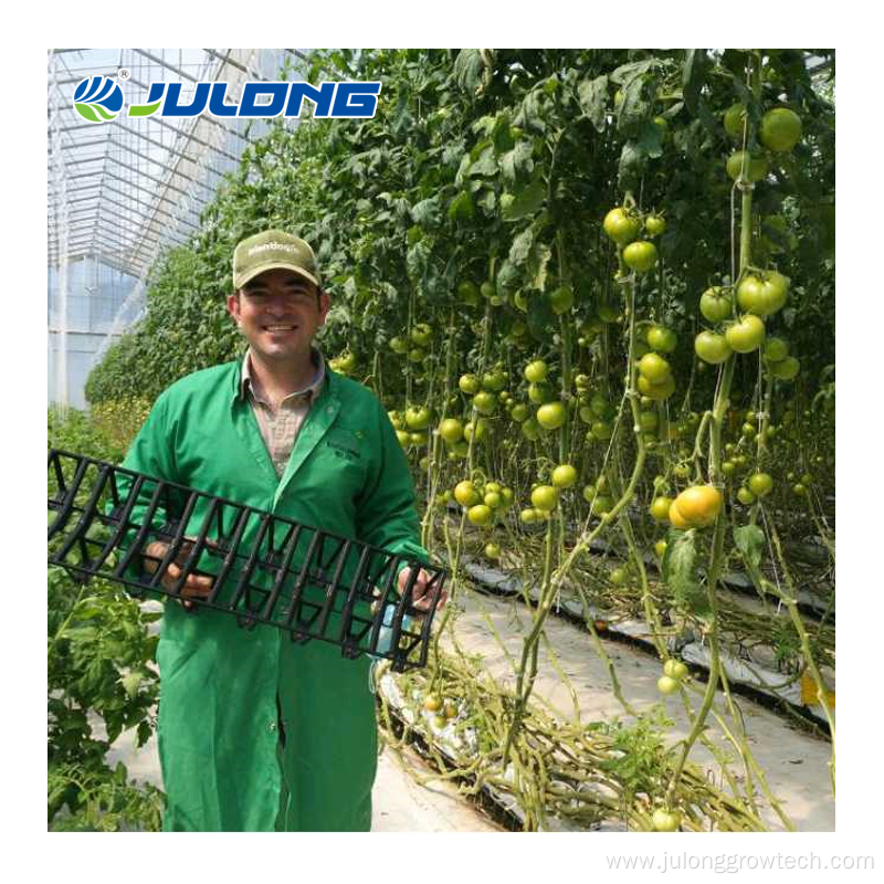 Commercial Polycarbonate Sheet Agricultural Greenhouse