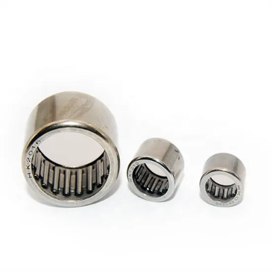 Quality Needle Roller Bearing Manufacturers: HK2518, HK2520, HK2525, HK2526, HK2538
