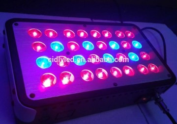 hydroponic growing systems 50w artemis 2 led grow lights
