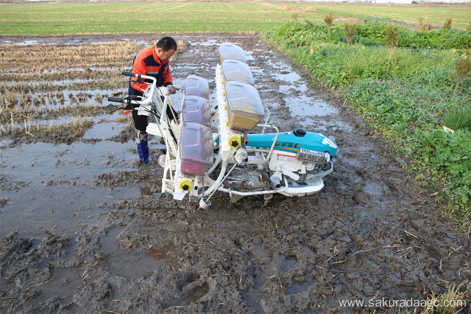 Two-Row Manual Rice Transplanter Price