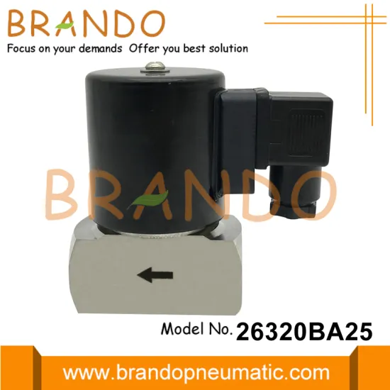 1'' Stainless Steel Steam Solenoid Valve 110V 220V