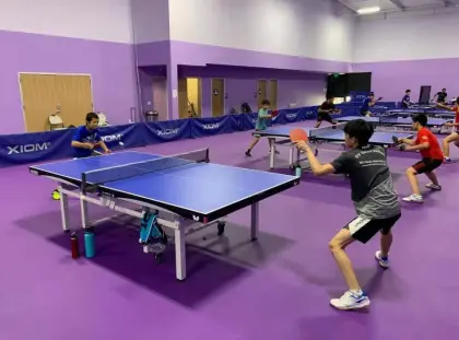 ITTF table tennis sports PVC flooring for WTT
