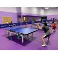 Pavimentazione sportiva da ping pong in PVC per interni approvata ITTF