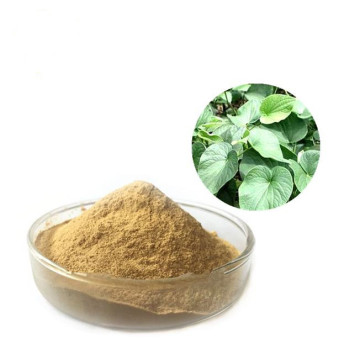 buy online CAS 84696-40-2 kava extract ingredients powder