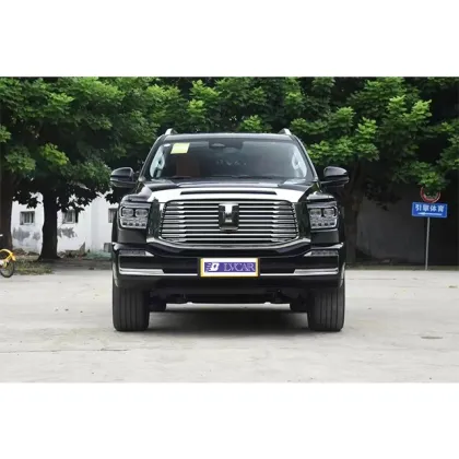LED Electric Light Metal Leather Great Wall Turbo SUV for Lexus LS 430 ACC and Lexus GX470 R19