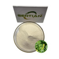 Premium Plant Extract Luteolin