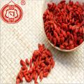 Air Dry Organic Goji Berry Fruit Supply