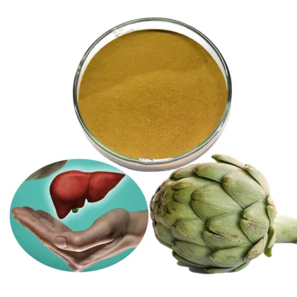 Artichoke leaf supplement cynarin artichoke extract
