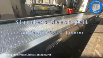 Stainless Steel 304 Spiral Wire Mesh Conveyor Belt