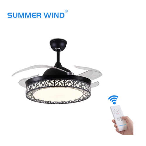 Woderful design black color ceiling fan light