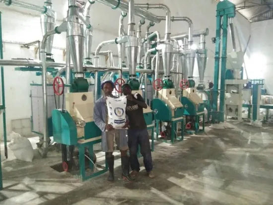 10-30 ton per day wheat flour milling machines with price grinder machine flour milling