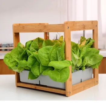 2019 Mini Intelligent Home Indoor Gardening Kit: Hydroponics Growing System with Trays & Nutrients