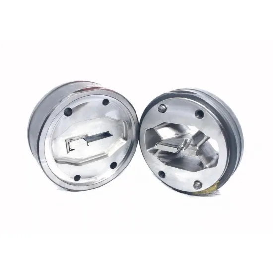 Steel door extrusion mold